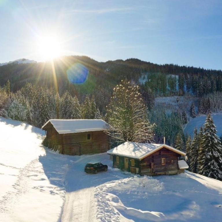 Hungarhub Hütte - Ferienhaus - 2