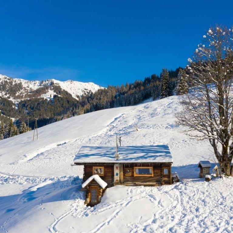 Hungarhub Hütte - Ferienhaus - 4