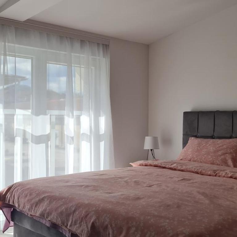 Studio apartmani Banja Koviljaca - Studio - 6