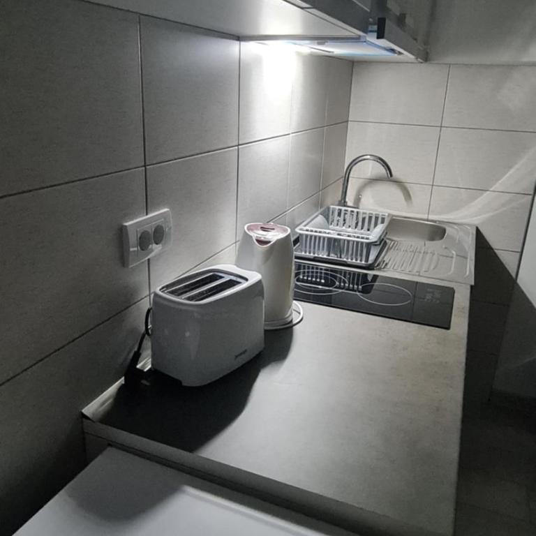 Studio apartmani Banja Koviljaca - Studio - 5