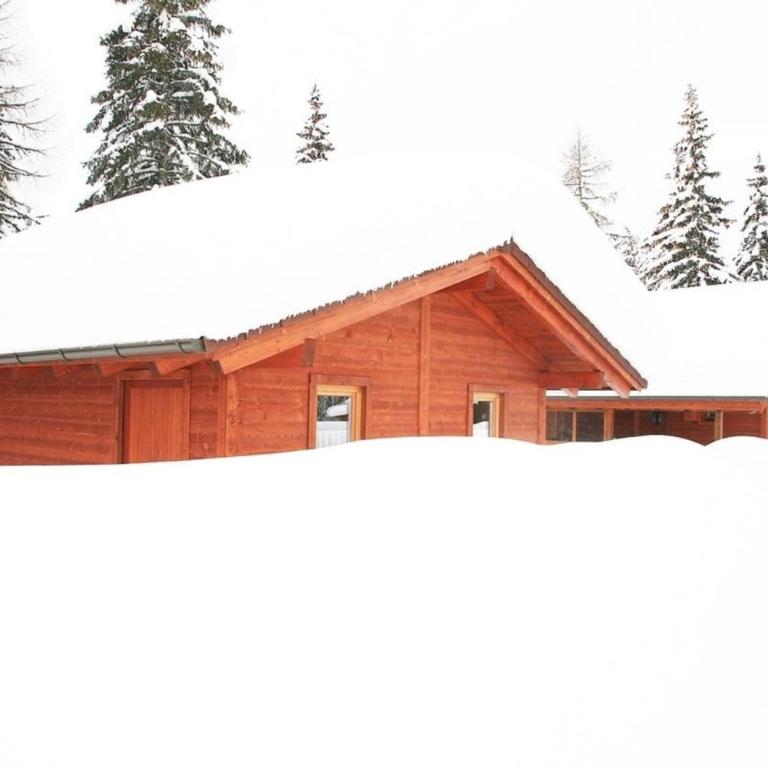 Alpine-Lodges Theresia - Ferienhaus - 4