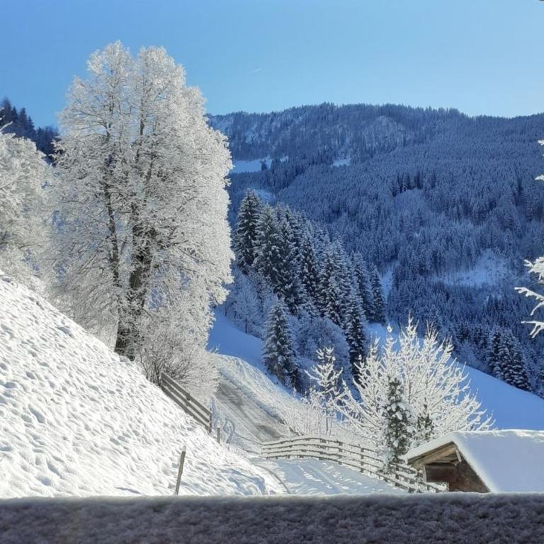 Schlickhütte - Ferienhaus - 2