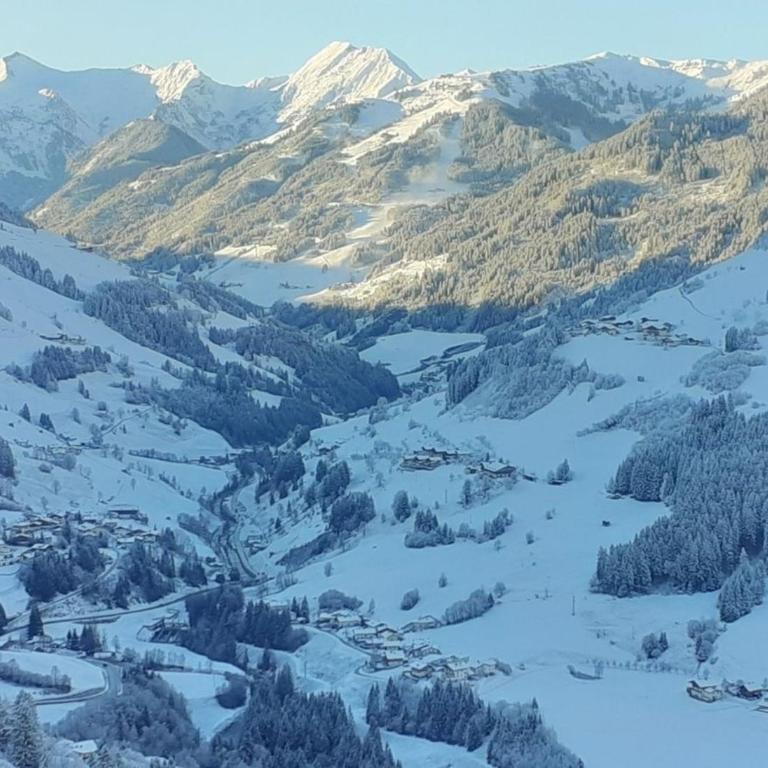 Schlickhütte - Ferienhaus - 5