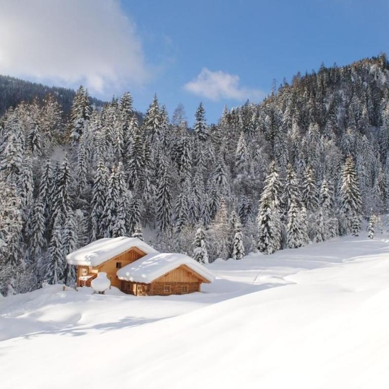 Loimoarhütte - Ferienhaus - 5