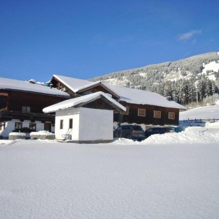 Bauernhaus Hollersbach - Ferienhaus - 2