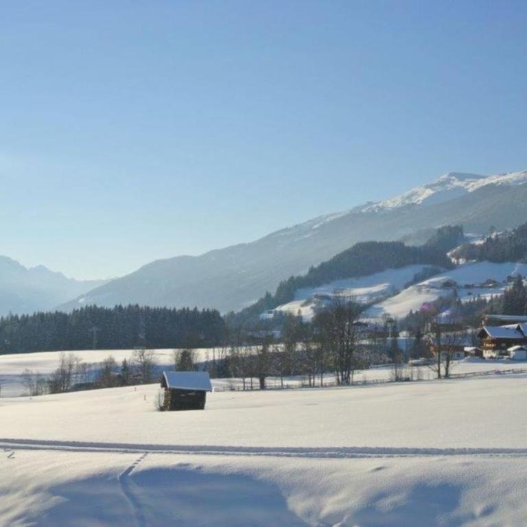 Bauernhaus Hollersbach - Ferienhaus - 6