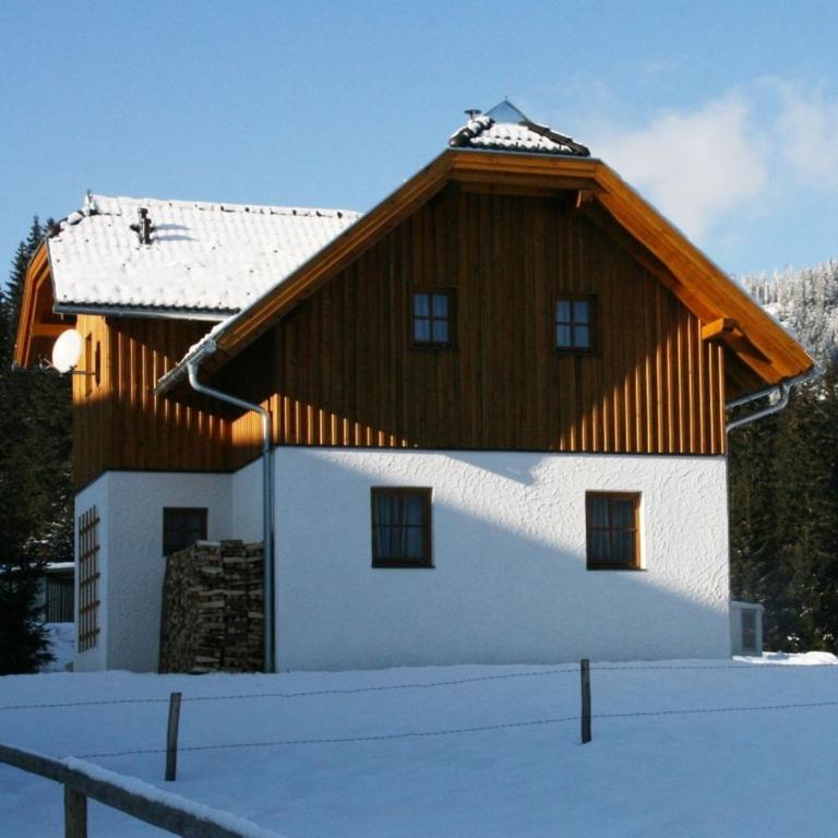 Hüttendorf Flattnitz - Typ C - Ferienhaus - 3