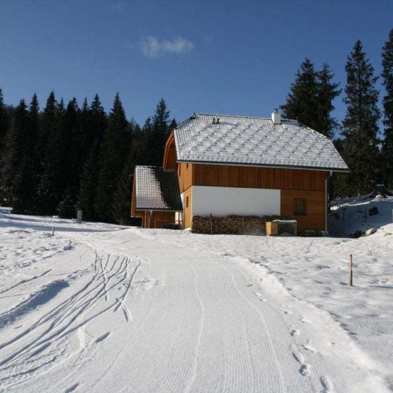 Hüttendorf Flattnitz - Typ C - Ferienhaus - 2