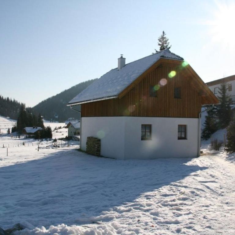 Hüttendorf Flattnitz - Typ C - Ferienhaus - 5