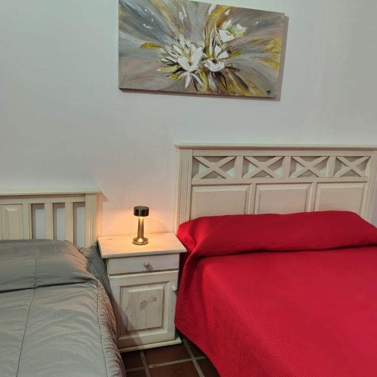 La Carolina Cabañas - Apartamento de 1 dormitorio - 3