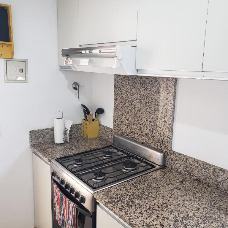 Hermoso departamento céntrico con cochera opcional - One-Bedroom Apartment - 7