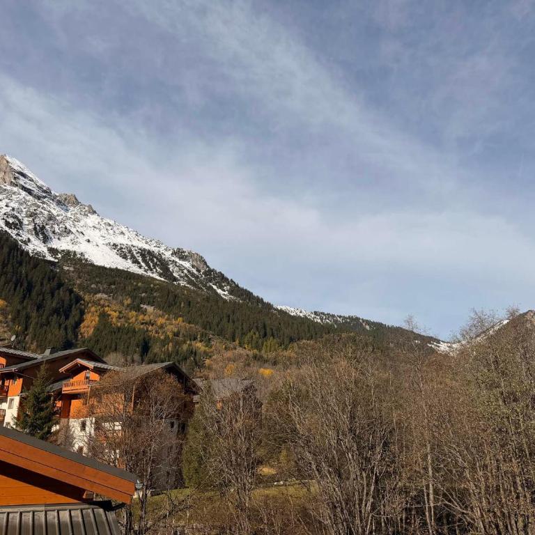 Appartement cozy avec grande terrasse et casier à skis - FR-1-464-256 - Apartment - 9