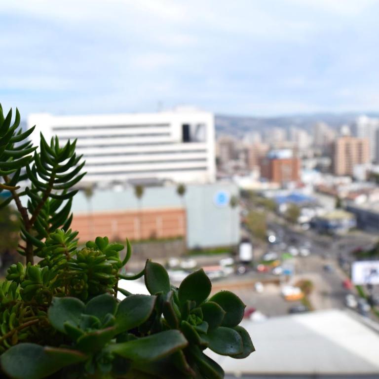Departamentos Alto Libertad - Apartamento con vistas al jardín - 28