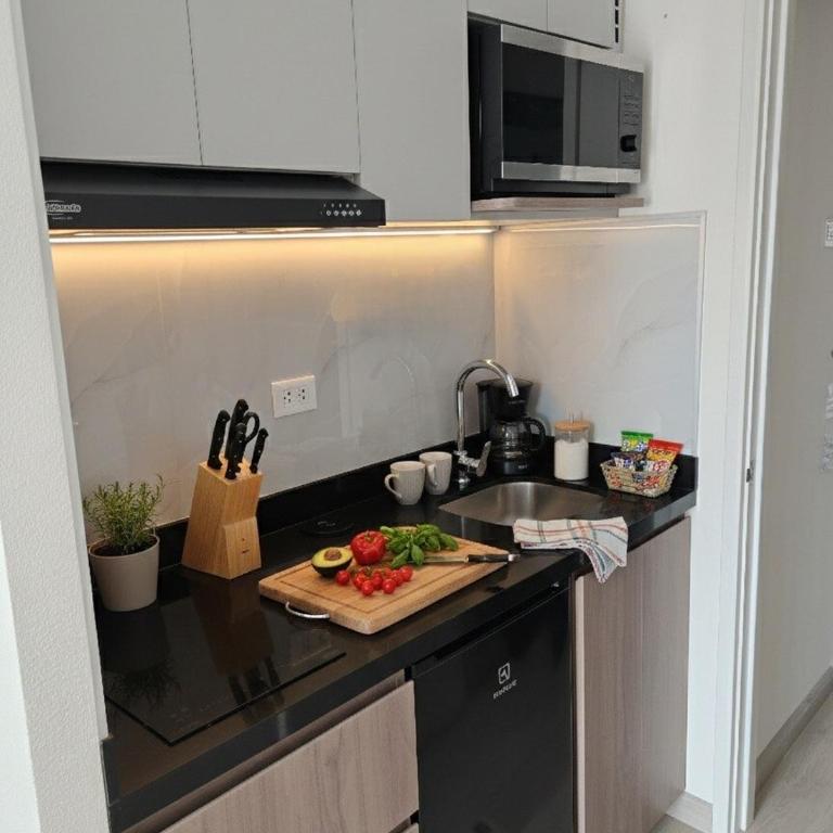 Apartment suite in the heart of Miraflores! walk to Kennedy - One-Bedroom Apartment - 15