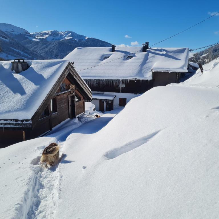 Gîte de l Auguille - Appartamento con 2 Camere da Letto - 14