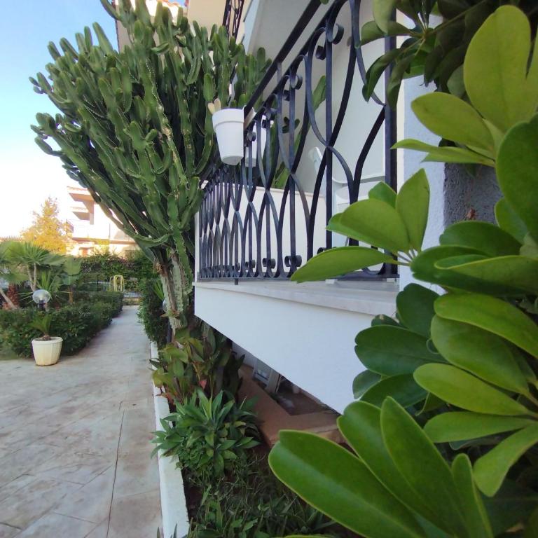 Fiore di Loto Rooms - Camera Matrimoniale Deluxe con Balcone - 70