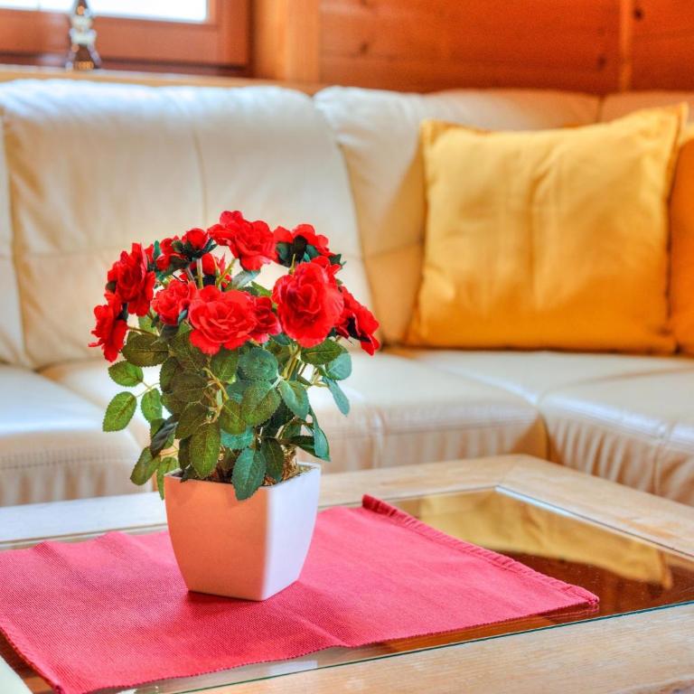 Feriendorf Wildschönau with private garden - Mobilheim mit 3 Schlafzimmern - 37