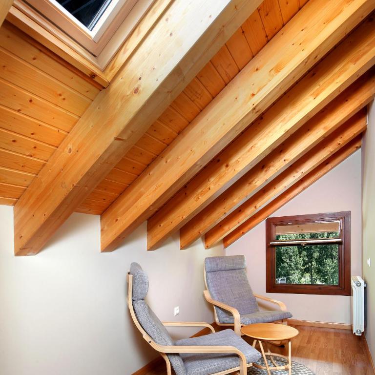 PirineosNature Apartments - Penthouse - 2