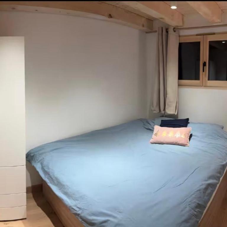 Face au MtBlanc avec jardin - Appartement 1 Chambre - 6