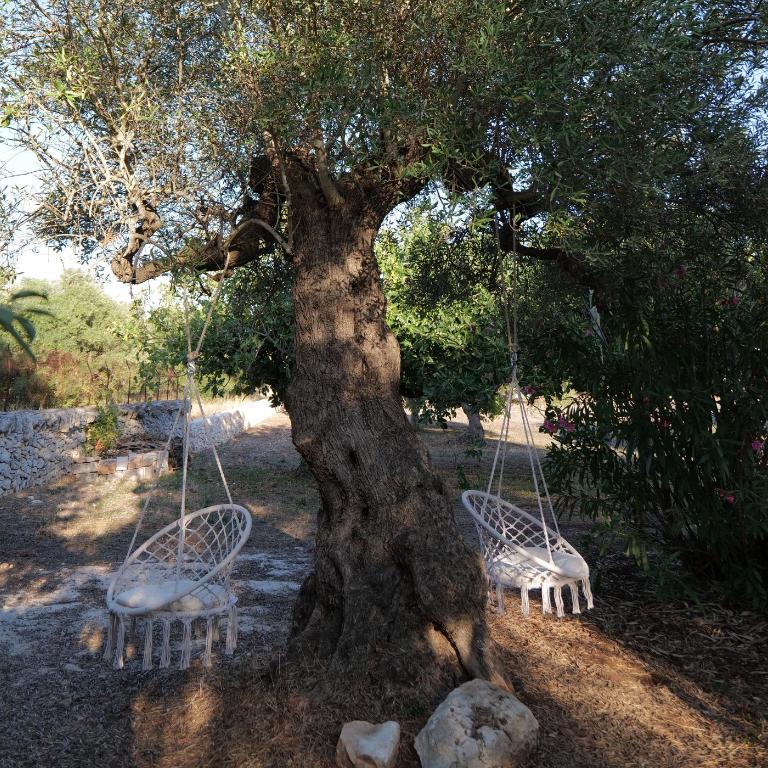 Trulli Donna Gina - Vacation Home - 16