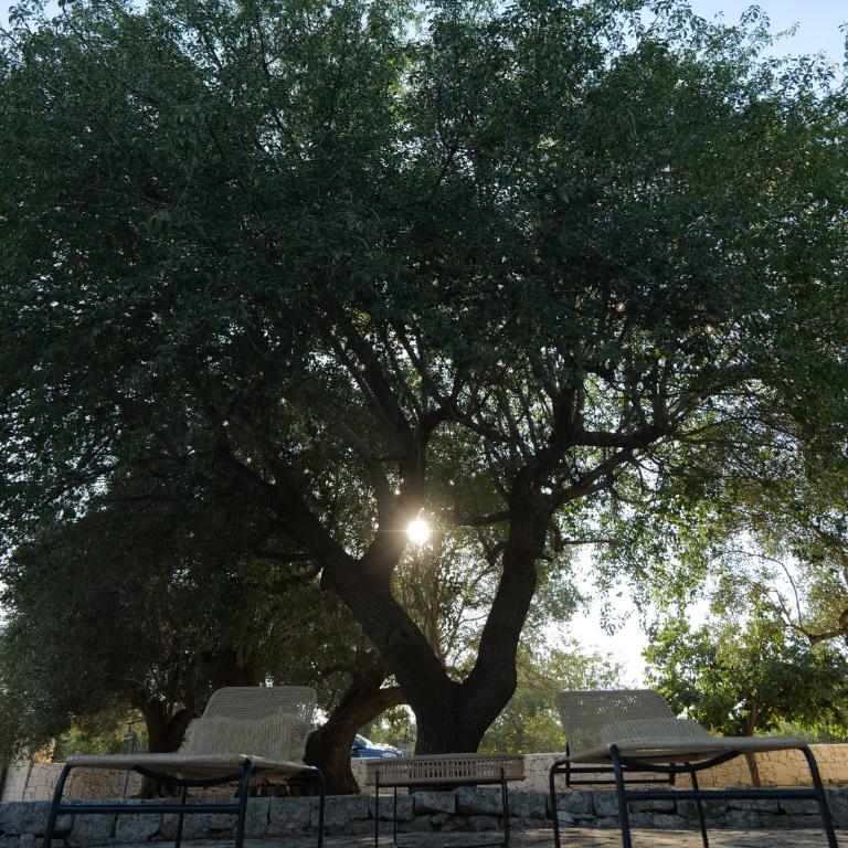 Trulli Donna Gina - Vacation Home - 6