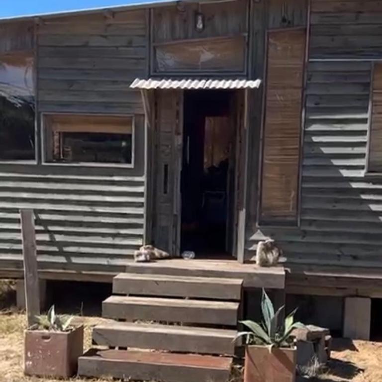 Mis dos amores - Casa de 2 dormitorios - 5