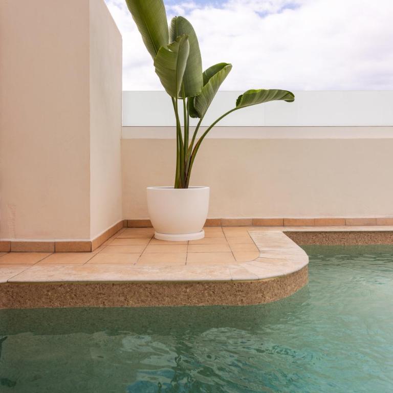 Villa Ellen Costa Adeje View a Heated pool luxury - Villa de 3 dormitorios - 26