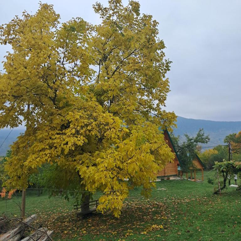 Etno house Bajka - Two-Bedroom House - 8