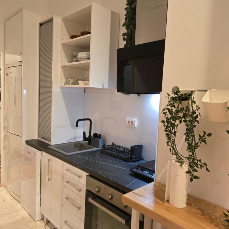 Apartman Stepa K3 - Apartman sa 1 Spavaćom Sobom - 8