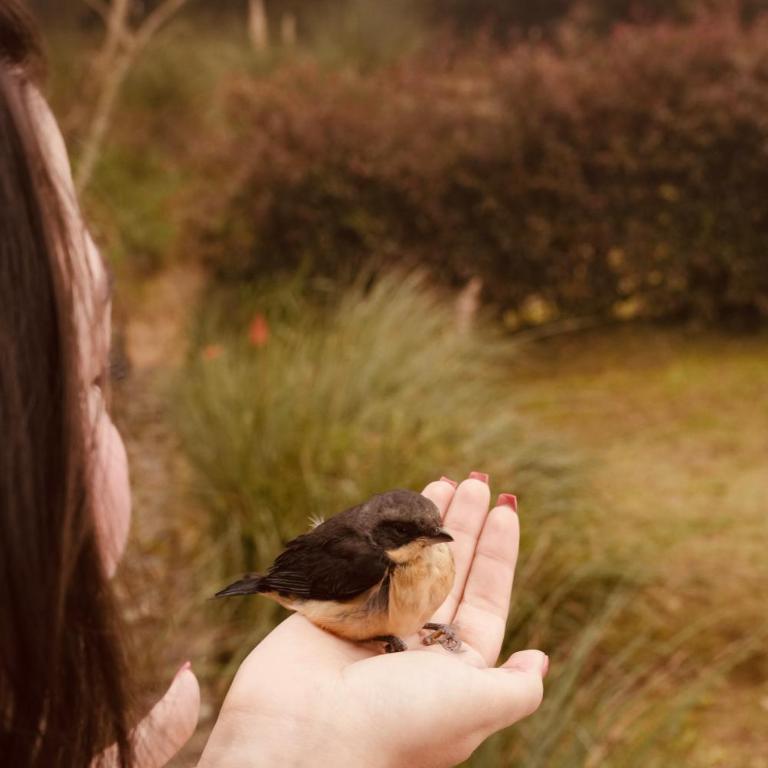 LasNubes EcolodgeNubes Ecolodge - Chalet de 1 dormitorio - 31