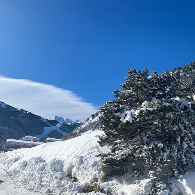 Loft Alpino Vall d'Incles Parking Gratuito - Apartamento de 1 dormitorio - 19