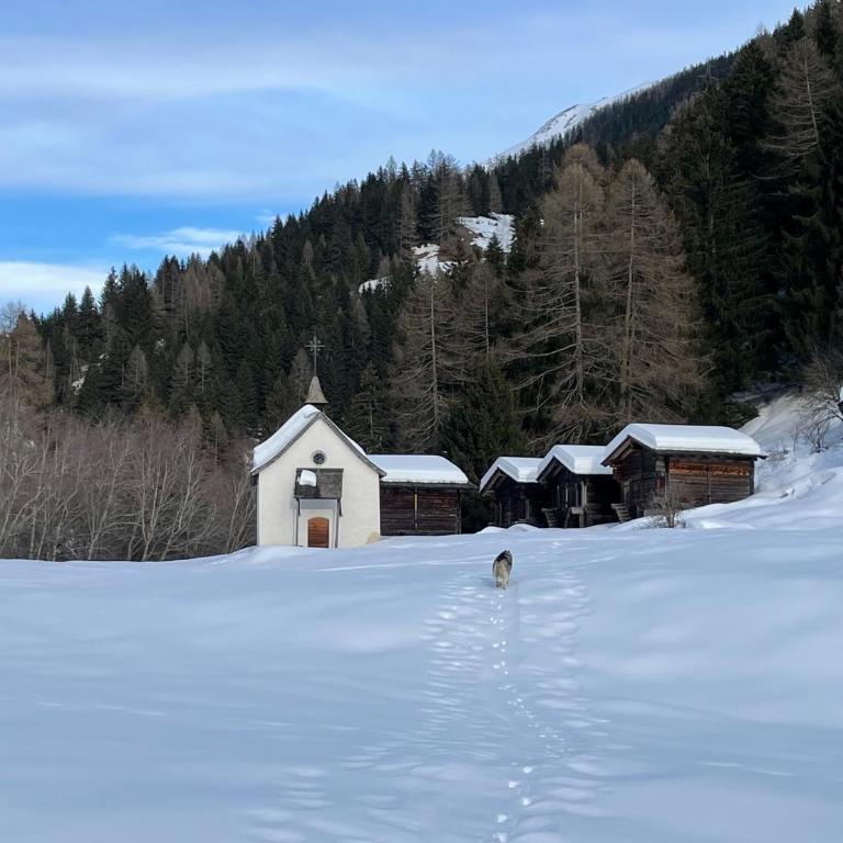 Haus Bortis - Appartamento con 1 Camera da Letto - 41