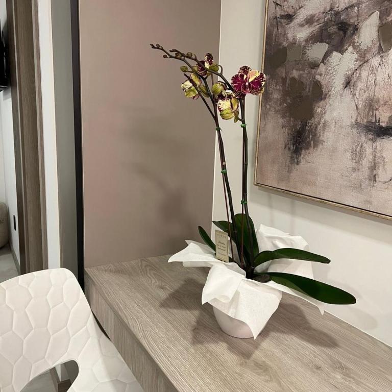 Espectacular por estrenar con cancha de pádel - One-Bedroom Apartment - 37