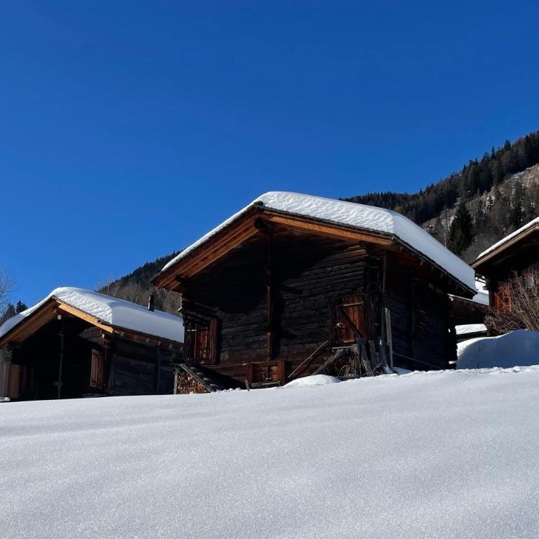 Haus Bortis - Appartamento con 1 Camera da Letto - 39
