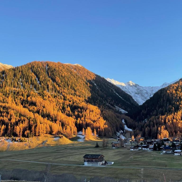 Haus Bortis - Appartamento con 1 Camera da Letto - 33