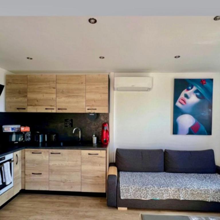 Appart Les Issambres Var vue mer 4 à 6 pers proche Ste Maxime et St Raphael - Appartement 1 Chambre avec Vue sur la Mer et Terrasse - 4