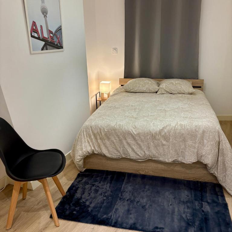 Le coeur de Limoges Hyper centre et rénové - Appartement 1 Chambre Supérieur - 5