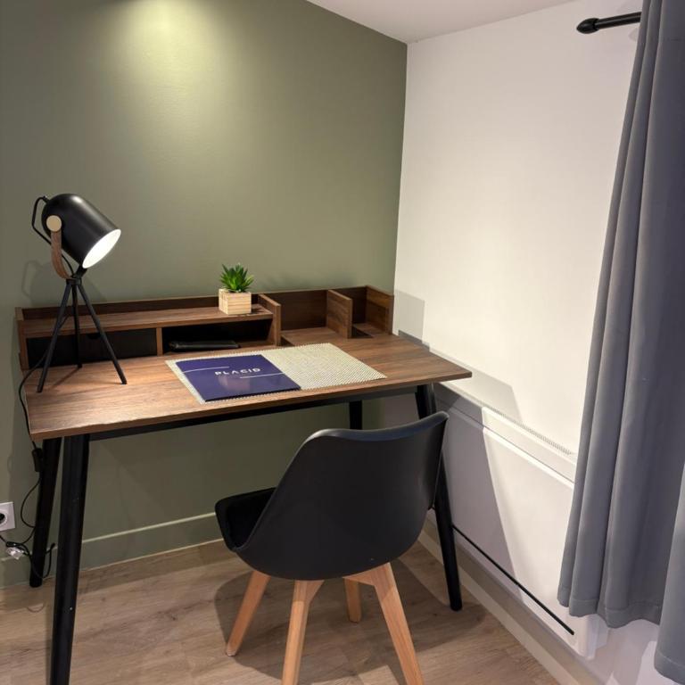 Le coeur de Limoges Hyper centre et rénové - Appartement 1 Chambre Supérieur - 10