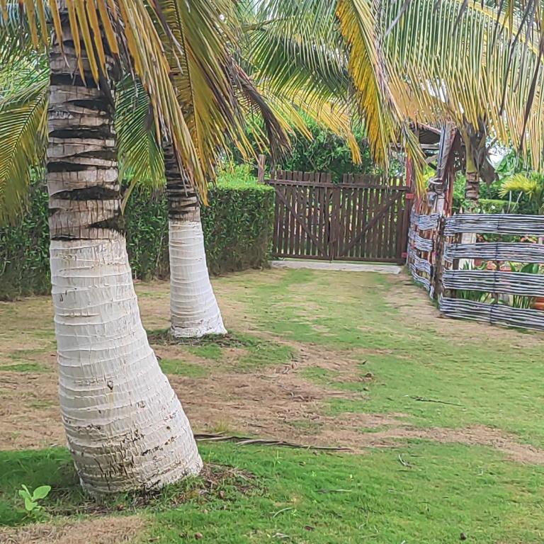 El ensueño - Two-Bedroom House - 3