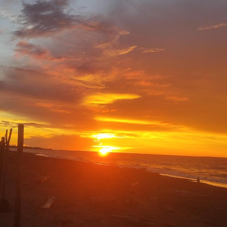 El ensueño - Casa de 2 dormitorios - 2