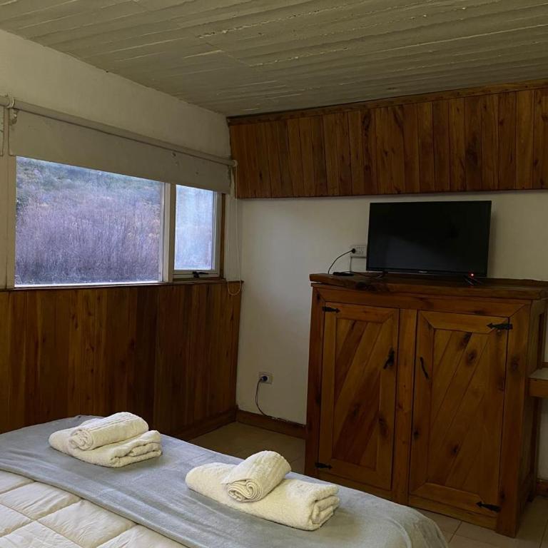 Lodge Copahue Expeditions - Apartamento Estándar de 1 dormitorio - 6
