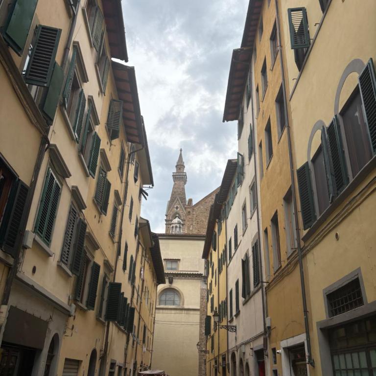 Santa Croce View Cool & Air Condizioned Private Entrance Apartment - Appartamento - 42
