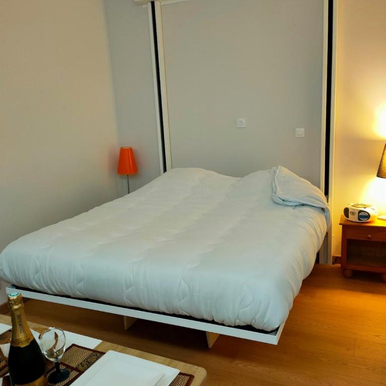 Charmant studio de 20 m - Appartement 1 Chambre - 15