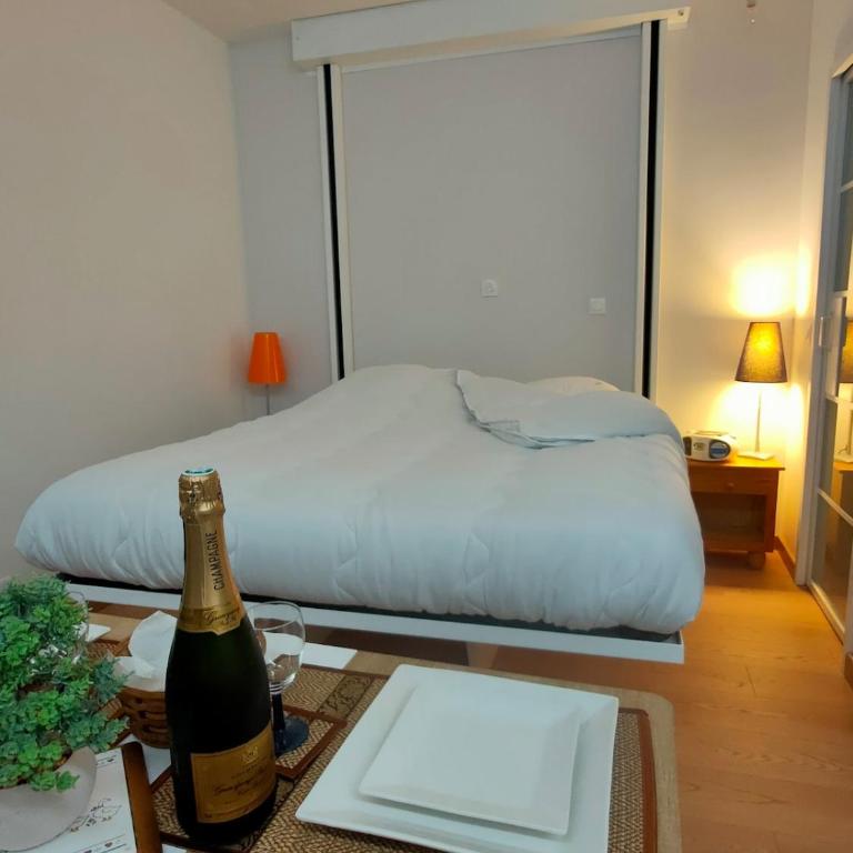 Charmant studio de 20 m - Appartement 1 Chambre - 19