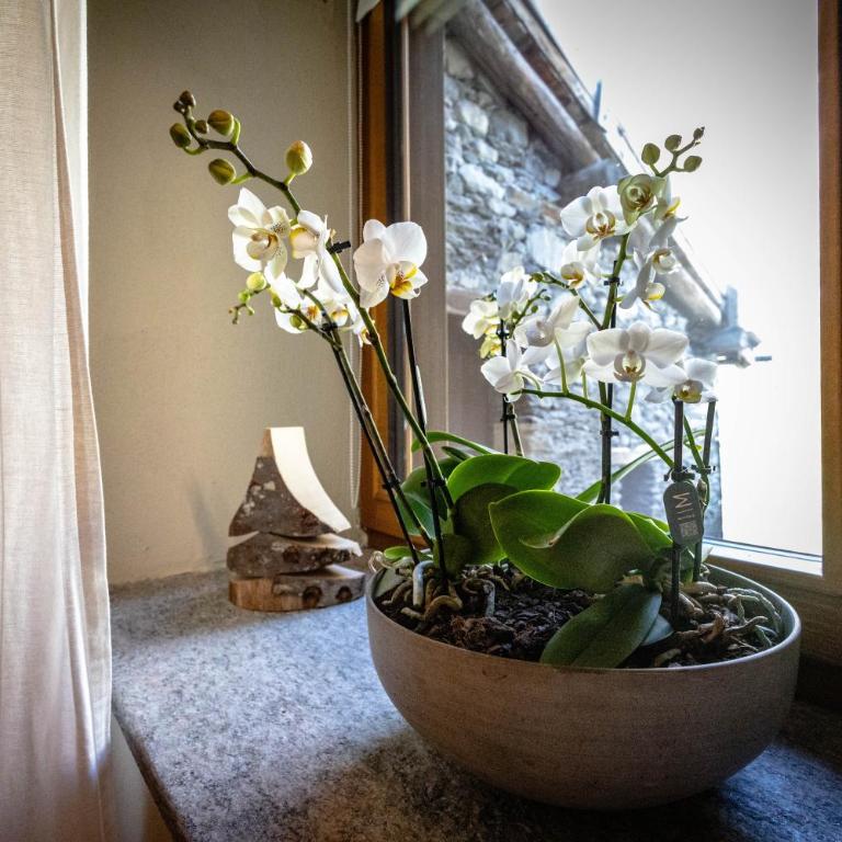 Lo Paglier - Le Four des Alpes - Appartamento con 2 Camere da Letto - 14