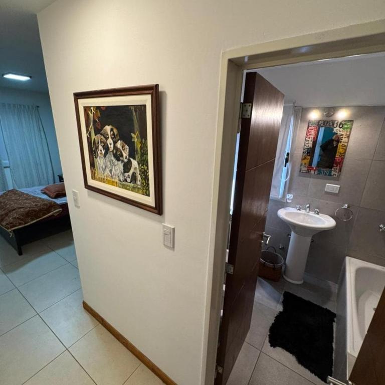 Lujoso y amplio departamento en alquiler - Apartamento de 2 dormitorios - 13