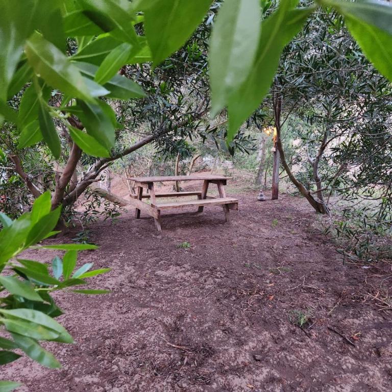 El Jardin de Sauce - One-Bedroom House - 47