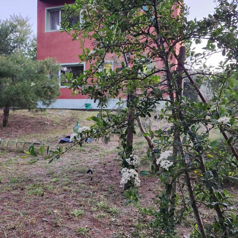 El Jardin de Sauce - One-Bedroom House - 24