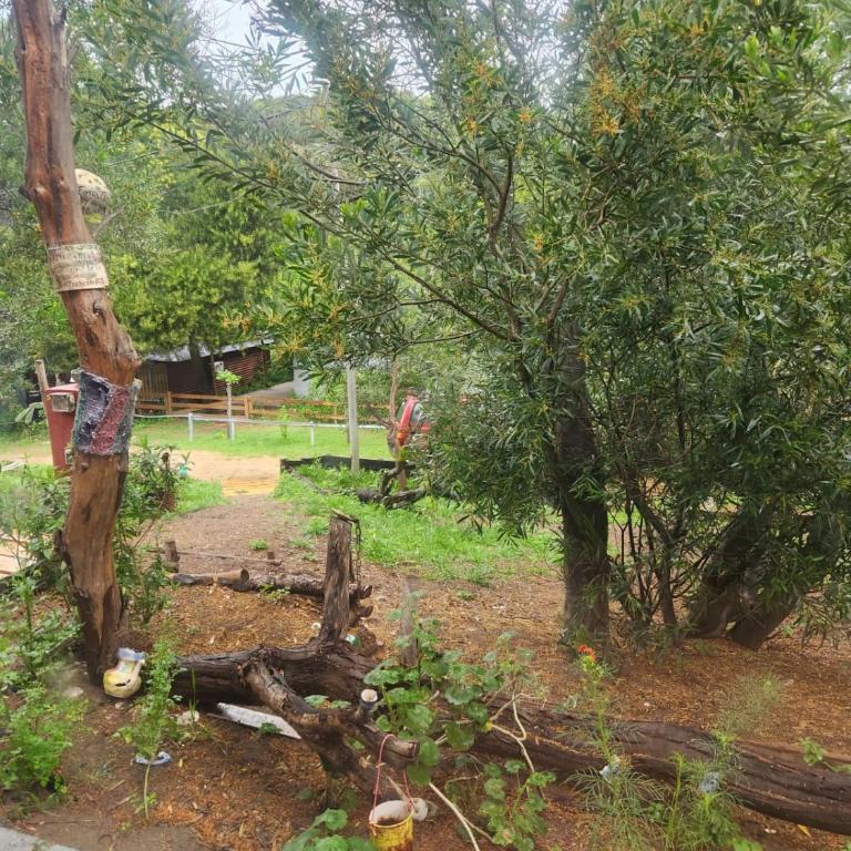 El Jardin de Sauce - One-Bedroom House - 40