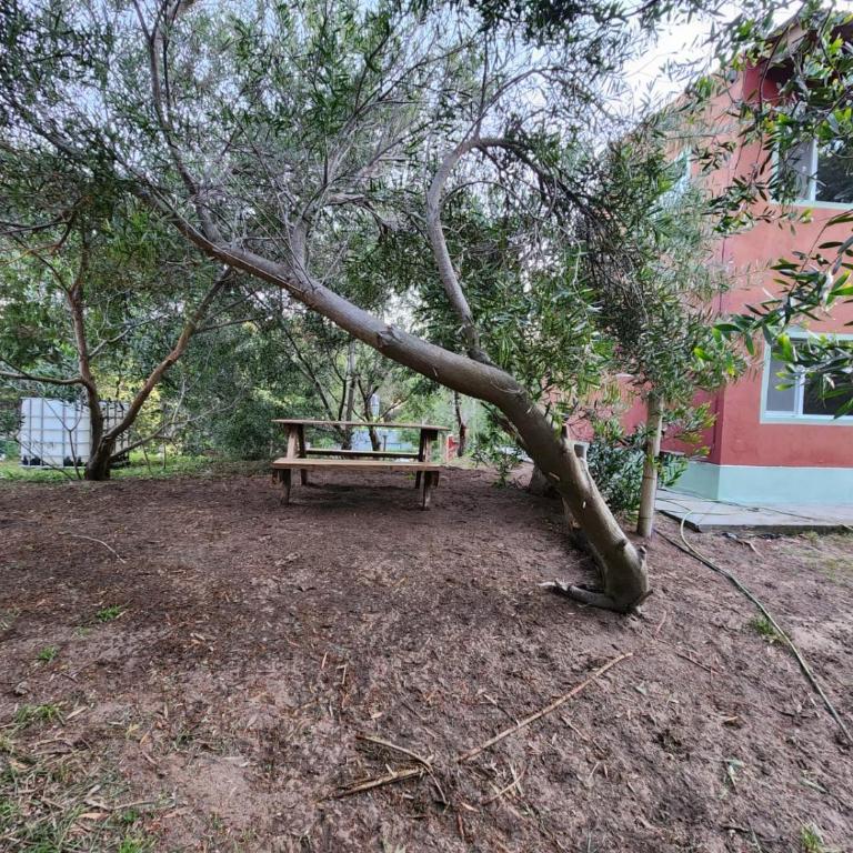 El Jardin de Sauce - One-Bedroom House - 14
